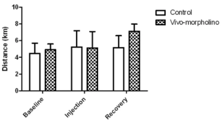 Figure 8. Experiment 3, mouse wheel running. Average daily distance ran for baseline, injection, and recovery week for animals treated saline (control) and the morpholino cocktail targeting Drd1 and Glut4 (Vivo-morpholino)