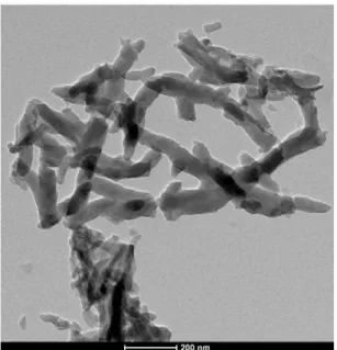 Figure 5. TEM micrograph of synthesized PAni with 25% CNSL.