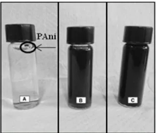 Figure 8.  TGA plots of PAni samples.
