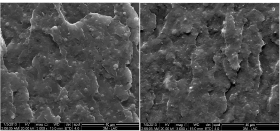 Figure 6. SEM micrograph of PP/PET 80/20 blend (a) 5 phr of SEBS-g-MA (b) 20 phr of SEBS-g-MA.