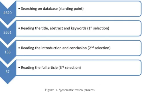 Figure 1. Systematic review process.