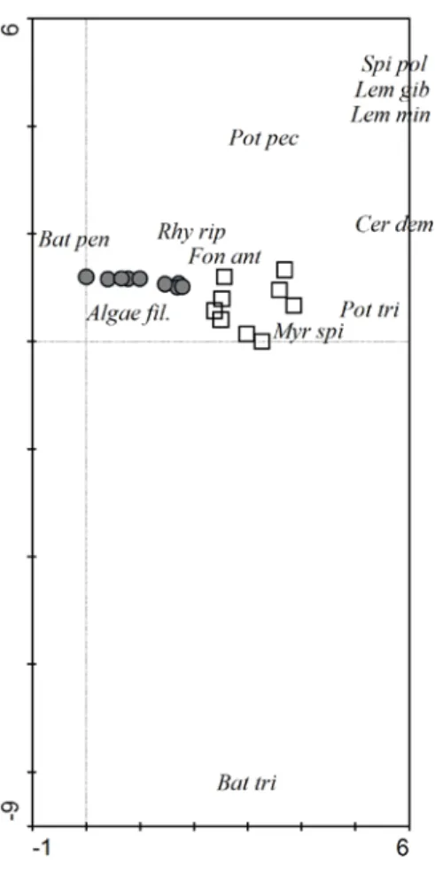 Figure 2. Position of the studied localities and aquatic macrophytes on the first two axis of DCA along  the course of the Hron river (Batrachium penicillatum  –  Bat pen,  B