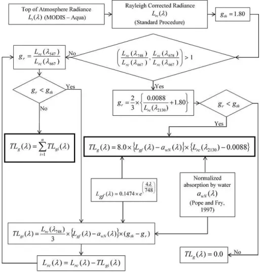 Figure 1. Schematic flow diagram depicting the new glint correction algorithm.