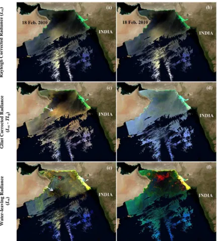 Figure 6. The false colour composite images (R–G–B = 748 nm–547 nm–412 nm) generated with the Rayleigh-corrected radiances (a and b), glint-corrected radiances (c and d) and  water-leaving radiances (e and f) from the default model (left column) and NGC al