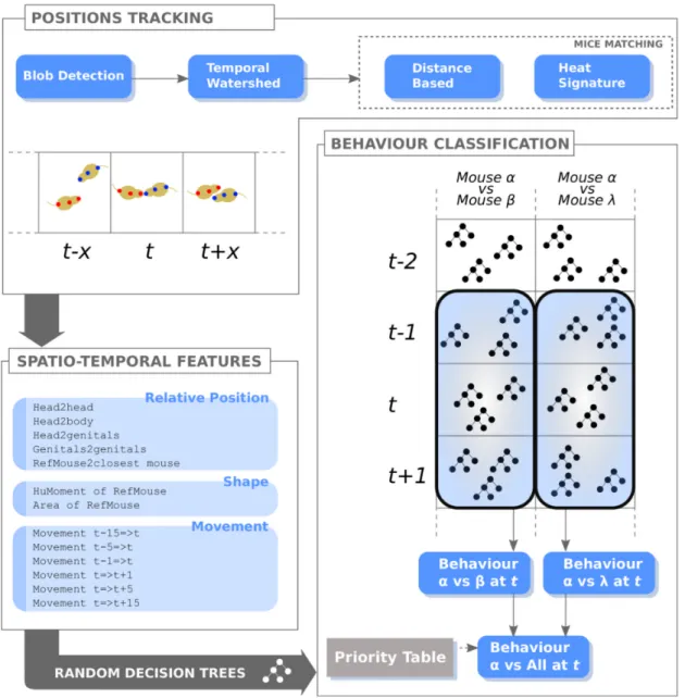 Figure 2. Algorithm diagram summarizing the behaviour classification phases. The ‘‘Position Tracking’’ is composed of a pipeline of three modules