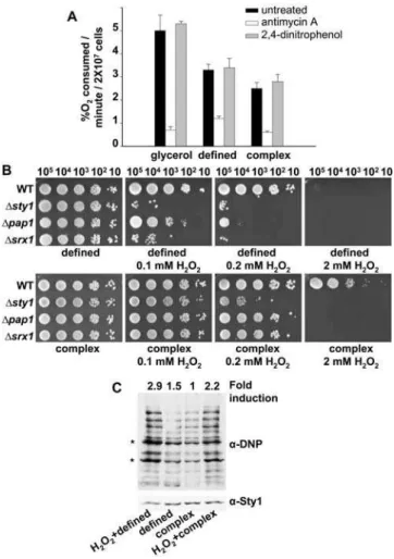 Figure 1B). In fact, activation of the Pap1 pathway, which detects very low extracellular H 2 O 2 stress, requires lower concentrations of peroxide in cells grown in defined medium than in complex medium, as shown by the formation of the active, oxidized f