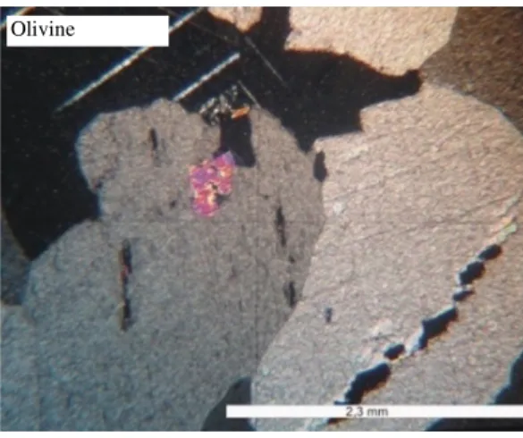 Figure 3 - Olivine enclosed in carbonate - resolution of 2. 3 mm 