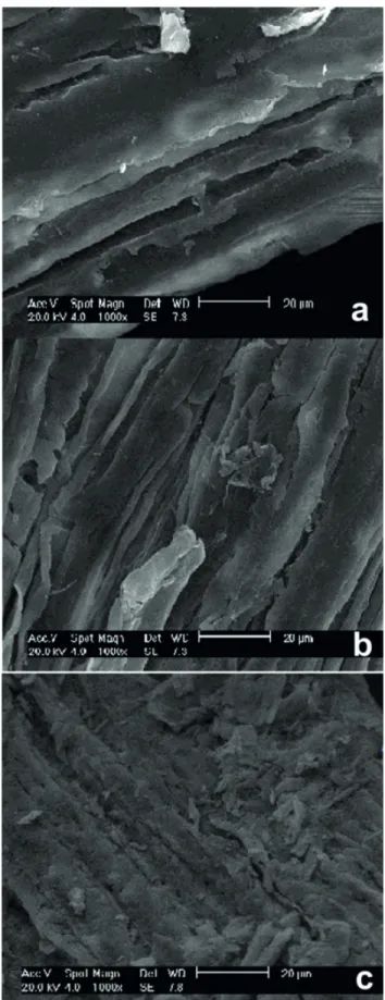 Figure 1. Morphology of the untreatedbagasse (a), the bagasse  subjected to the combined acid and alkaline pretreatment (b), and  latter bagasse after hydrolysis (c).