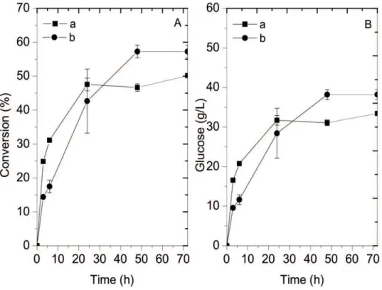 Figure 6.  Conversion and glucose concentration throughout the enzymatic hydrolysis with the bagasse pretreated with hydrogen peroxide