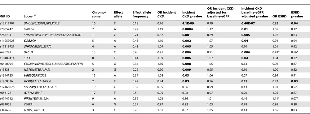 Table 2. Results for incident CKD and ESRD, CKDGen consortium. SNP ID Locus # Chromo-some Effectallele Effect allelefrequency OR IncidentCKD incident CKD p-value OR incident CKDadjusted forbaseline-eGFR incident CKD baseline-eGFR