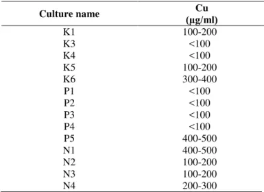 Figure 6. Load of rhizosphere and bulk sediment bacteria of  Nymphaea pubescens 