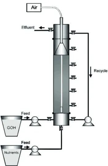 Figure 1. Schematic representation of the Up-flow Sludge Bed  Reactor under Intermittent Aeration.