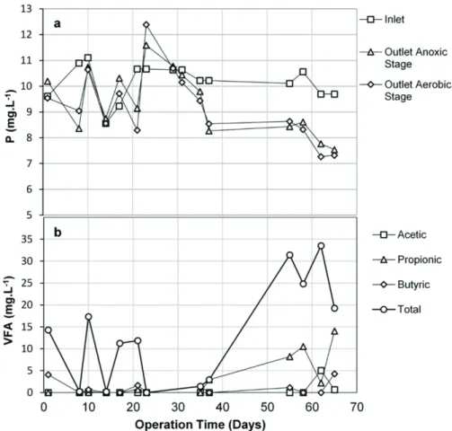 Fig. 4b shows the low concentration of VFA generated  in the non-aerobic stage, with an Ac/P (Acetate /  Phosphorus) ratio of 0.05 ± 0.14