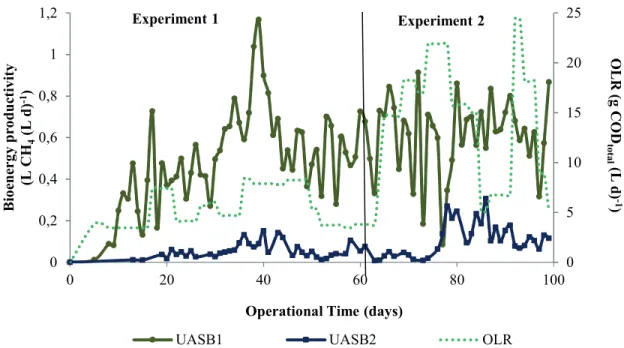 Figure 3. Bioenergy productivity and OLR during the operation of two serial UASB reactors.