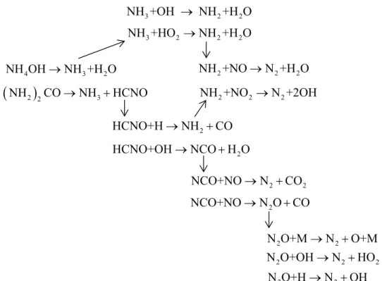 Figure 1.  Schematic representation of reactions o SNCR (based on Blejchař and Dolníčková, 2013).