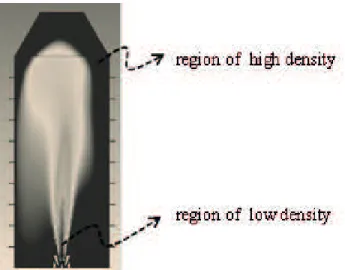 Figure 4.  Density profile inside the furnace for heat load relative to  0.04  kg/s  fuel  flow  rate;low  density  <  0,146  kg/m 3 ; high density> 
