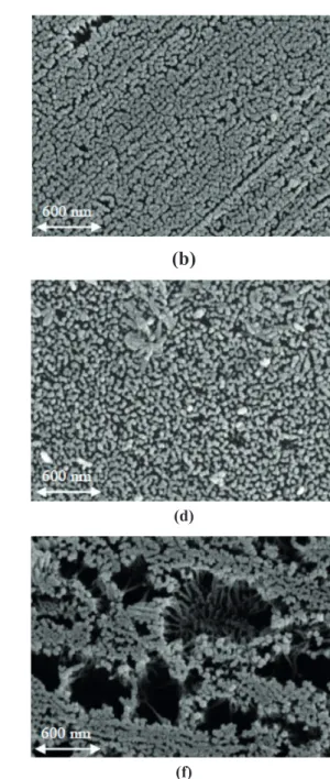 Figure 1. SEM images of the alumina generated. References: (a) Test #1, (b) Test #3, (c) Test #5, (d) Test #2, (e) Test #9, (f) Test #10.