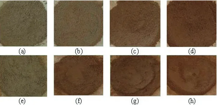 Figure 1. Photographs of ion-exchanged nanoclay at 350 °C for 1 (a), 2(b), 3 (c)  and 5 min (d), and at 450 °C for 1 (e), 2 (f), 3 (g)  and 5 min  (h).