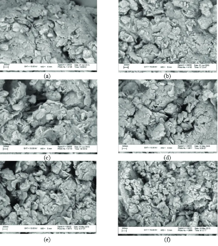 Figure 2. SEM images of parent nanoclay (a) and ion exchanged nanoclay at 350 °C for 2 (b) and 5 (c) minutes and at 450 °C for 1 (d), 3 (e),  and 5 minutes (f).