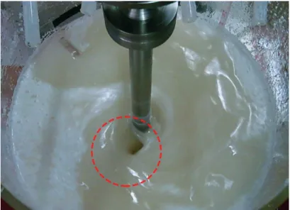 Figure 10.  Eccentric vortex observed in experiment (TXL impeller, N = 150 rpm, μ = 75.3 mPa·s, C 0  = 0.05 L/L).