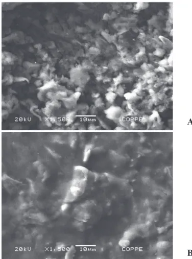 Figure 4. SEM images of the electrode surface (1500X magnifi cation). A) The composite AgNPs-graphite-polyaniline without, and; B) With  the immo bilized AOX and HRP.