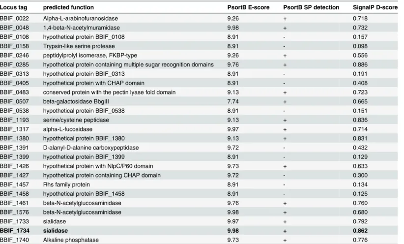 Table 2. List of B. bifidum S17 proteins with predicted extracellular localization and information on the signal peptides identified in their amino acid sequences.