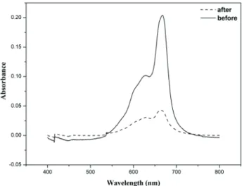 Figure 5. Absorption spectra of dye RB 21 before and after enzymatic  treatment with horseradish peroxidase after dyeing