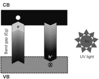 Figure 2: Bands diagram of a semiconductor with formation of  holes (h + ) and electrons (e - ) after UV irradiation; adapted from [78].