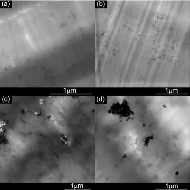 Figure 1. TEM micrographs C1 and C2: (a) C1 130.000x, (b) C2 100.000x, (c) C1C 80.500x, (d) C2C 100.000x.