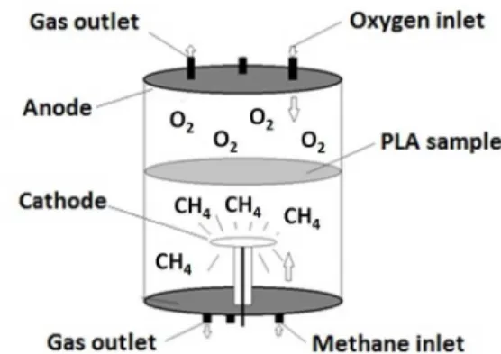 Figure 2. Schematic drawing of the inlet of gas into the plasma  reactor system used in the treatment of the PLA samples