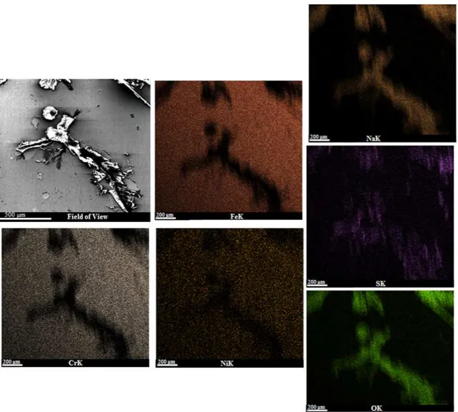 Figure 14. SEM micrographs after the cyclic potentiodynamic polarization showing carbonate precipitates on the hot 31803 duplex in  green liquor.