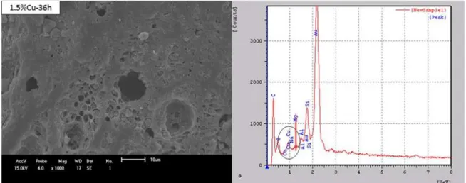 Figure 5. Micrograph obtained by SEM and EDS spectra of carbon impregnated with 1.5%Cu-36h
