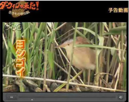 Figura 11: Programa Darwin - imagem do vídeo disponível no site da NHK 