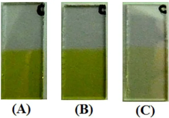 Figure 3.  29  Table 1 shows the thickness and surface density  against the mass of the evaporating V 2 O 5  powder.