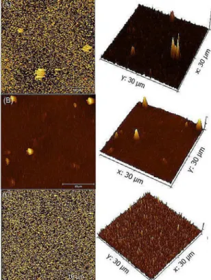 Figure 4 shows the AFM images of the V 2 O 5  films of  samples A, B and C. The AFM images show, in the used  scale, that the roughness increases as the thickness decreases