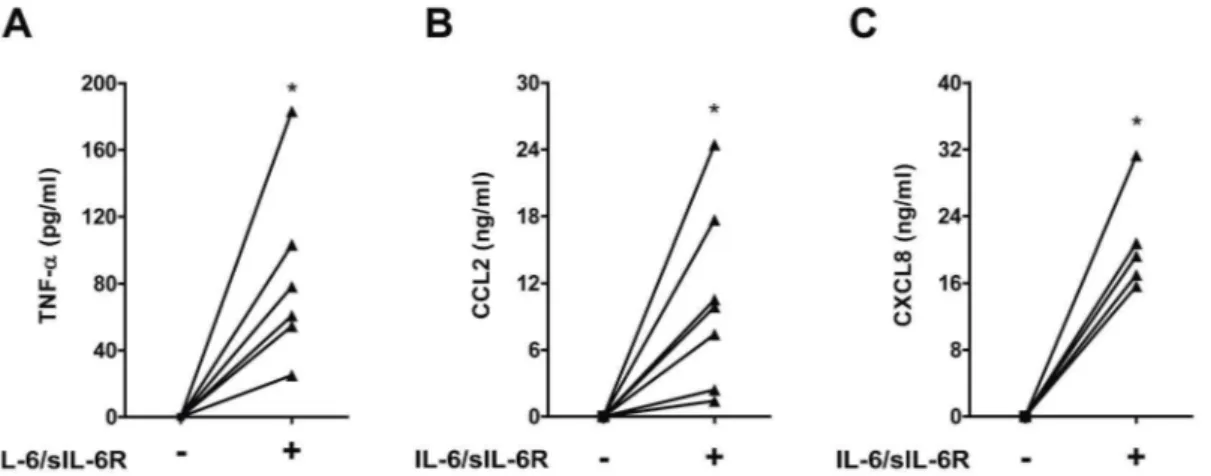 Figure 1. TNF-a, CCL2 and CXCL8 production in human PBMCs exposed to IL-6. Human PBMCs were exposed to IL-6 (10 ng/ml) in combination with sIL-6R (125 ng/ml) (IL-6/sIL-6R) for 18 hours