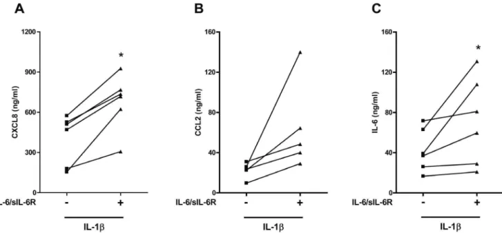 Figure 4. Increased p65 NF-kB activation in response to inflammatory stimuli in human PBMCs pre-exposed to IL-6/IL-6R