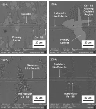 Figure 13. Typical Scratches on the microstructure of the coatings  (Load: 100 mN).