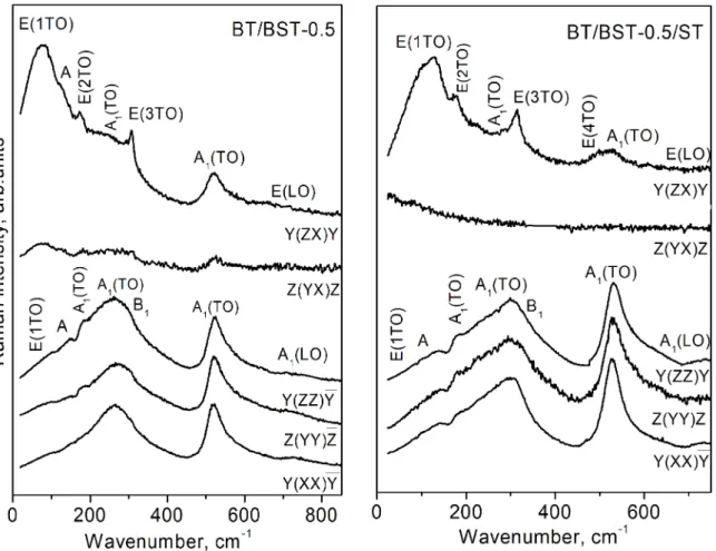 Figure 1 displays the Raman spectra of both types of SLs  in cross-  R Y ZX Y Z YX ZQV,QV W  (ZX and YX hereinafter)  and parallel-  R Y XX Y Y ZZ YQV,QV W  and  Z YY ZQV  (XX, ZZ  and YY hereinafter) back-scattering geometries.