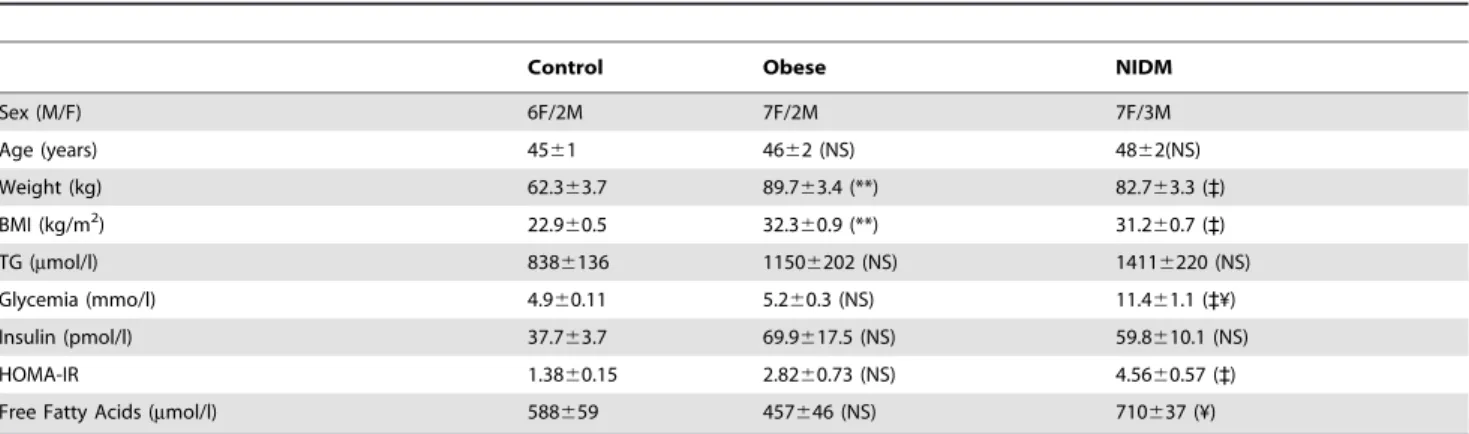 Table 1. Metabolic characteristics of lean, obese and type 2 diabetic patients (n = 8–10) in fasting state.