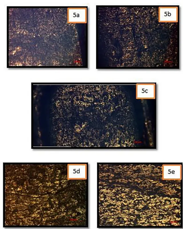 Figure 5. Optical microscopy images of exposed sample 5 that presented clear evidence of cracking on the sur-face.