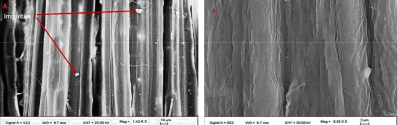Figure 3: Surface morphology of H. sabdariffa fibers: (A) untreated; (B) treated.