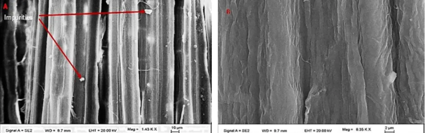 Figure 3: Surface morphology of H. sabdariffa fibers: (A) untreated; (B) treated.