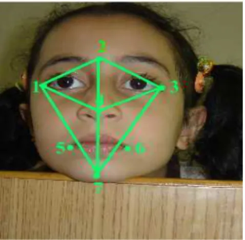 Fig. 5:  Volume  of  pyramid  that  constructed  from  the  main calculated triangular 