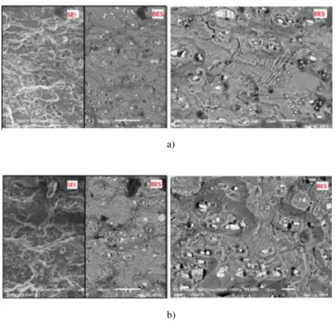 Figure 7: Fracture surfaces of samples after fatigue testing: a) non-doped ARALL and b) 1 wt% TRGO doped ARALL