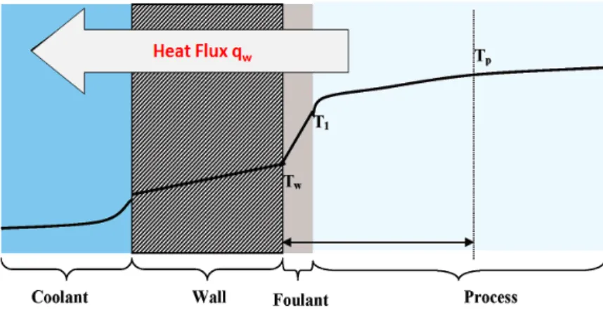Figure 3: Radial temperature profile in the reactor tube [21]. 