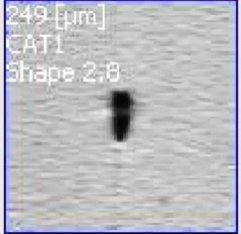 Figure 6 shows an image photograph of the gel taken at the OCS machine, of the EVA film, during  the film analizing process