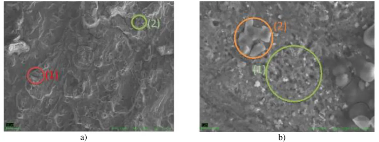 Figure 6a) shows the fracture zone (1,000x), where are microcracks (1) due to the fatigue process can  be seen, as well as decohesion of precipitates of the Al alloy (2), due to the same process