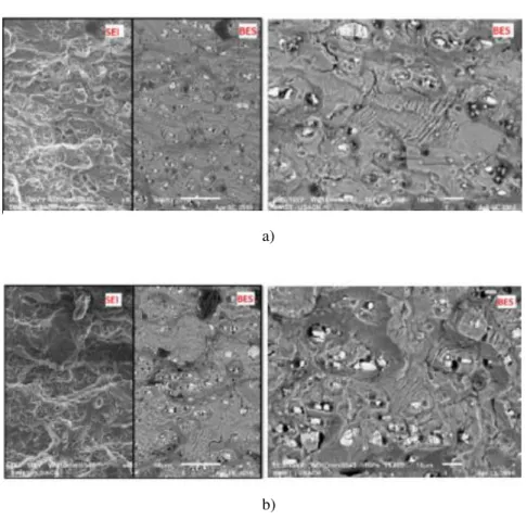Figure 7: Fracture surfaces of samples after fatigue testing: a) non-doped ARALL and b) 1 wt% TRGO doped ARALL