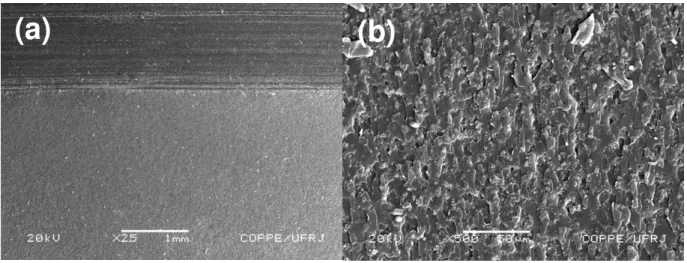 Figure 10: Izod impact fracture surface of pure polyester specimen (0% fiber): (a) general view; (b) detail of the polyes- polyes-ter transversal fracture